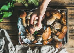 Gesmoorde champignons met portsaus