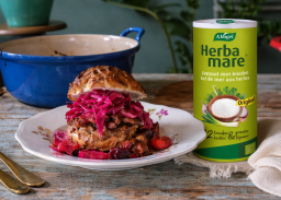 Sandwich coq au vin avec poulet mijoté, chou rouge et sel aux herbes Herbamare, servi comme repas chaud.