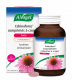 Echinaforce forte + Vitamine C comprimés à croquer système immunitaire DSFLTAB