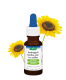 Packshot van A.Vogel Oordruppels oorhygiëne – 20 ml flesje voor natuurlijke oorverzorging