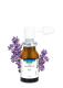 Packshot A.Vogel Spray pour les oreilles – Cérumen, 10 ml