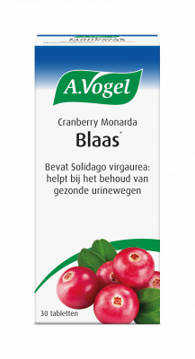 Cranberry monarda Blaas DS