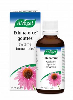 Echinaforce Gouttes 50ml Système immunitaire DSFL