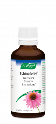Echinaforce druppels gouttes 50ml weerstand système immunitaire FL