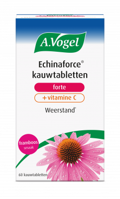Echinaforce forte + Vitamine C kauwtabletten weerstand DS