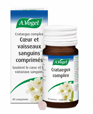 Crataegus complex comprimés coeur et vaisseaux sanguins DSFLTAB