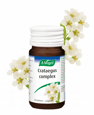 Crataegus complex tabletten hart en bloedvaten comprimés coeur et vaisseaux sanguins FLBL