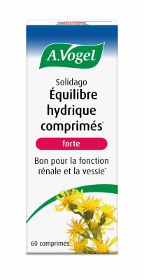 Solidago forte - drainant en cas de rétention d'eau