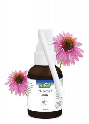 Echinaforce Spray Immunité