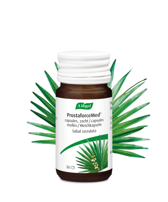 Emballage de ProstaforceMed, médicament traditionnel à base de plantes pour troubles urinaires liés à l’hypertrophie bénigne de la prostate