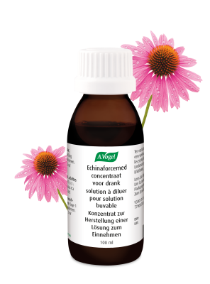 Flacon d’Echinaforcemed solution à diluer, médicament traditionnel contre le rhume