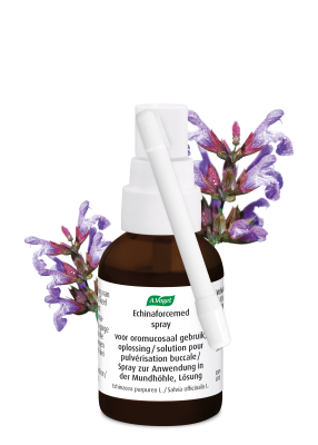 Flacon van Echinaforcemed Spray – traditioneel kruidengeneesmiddel voor mond en keel