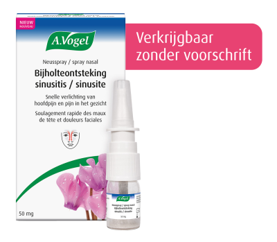 Neusspray Sinusitis / Bijholteontsteking
