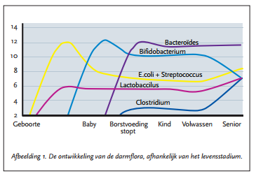 veranderende darmflora overgang