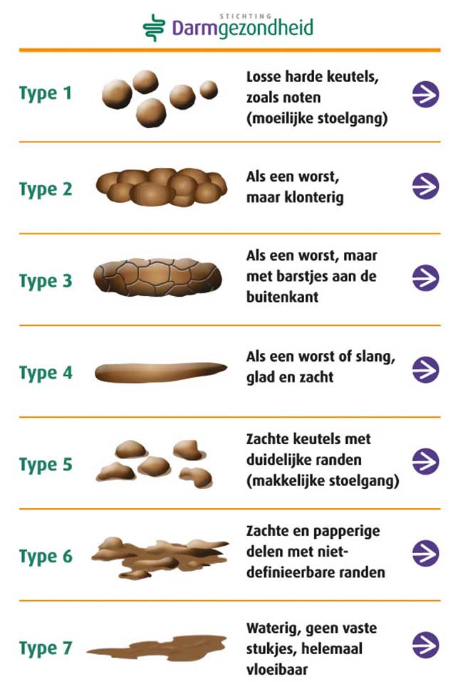 Bristol Stool Chart – overzicht van de 7 types ontlasting met uitleg