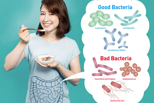 link tussen je darmflora en je weerstand: goede en slechte bacteriën