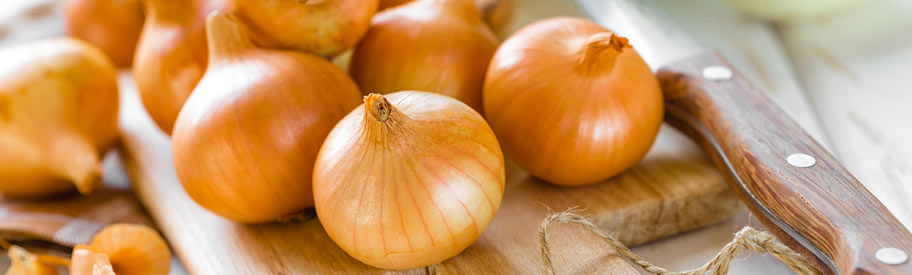 L Oignon Un Remede Naturel A Vogel Conseils Nez Gorge Et Toux