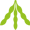 Voedingsadvies - sojaproducten Voedingsadvies - sojaproducten