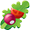 Voedingsadvies - groenten Voedingsadvies - groenten