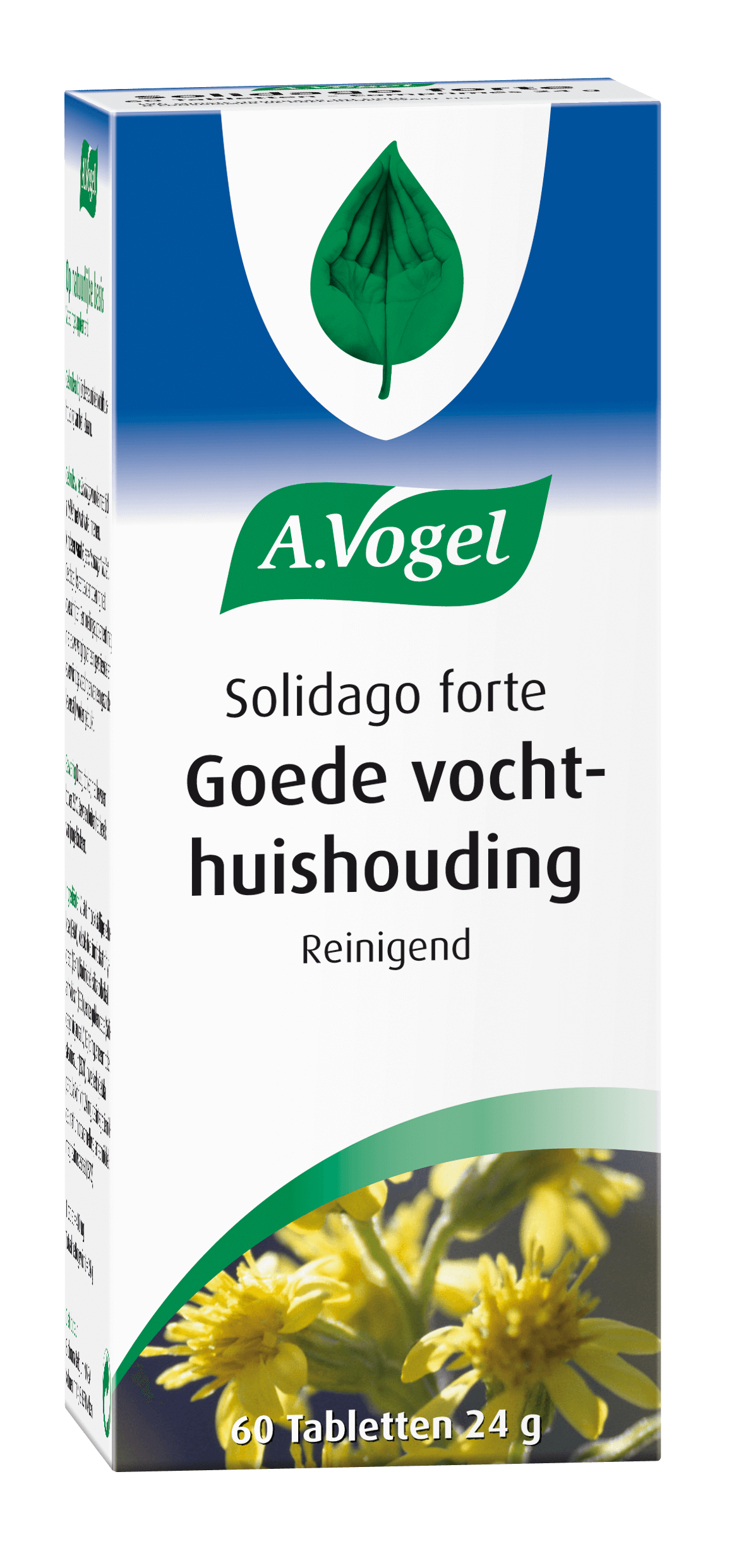 Solidago forte Vocht vasthouden A.Vogel producten