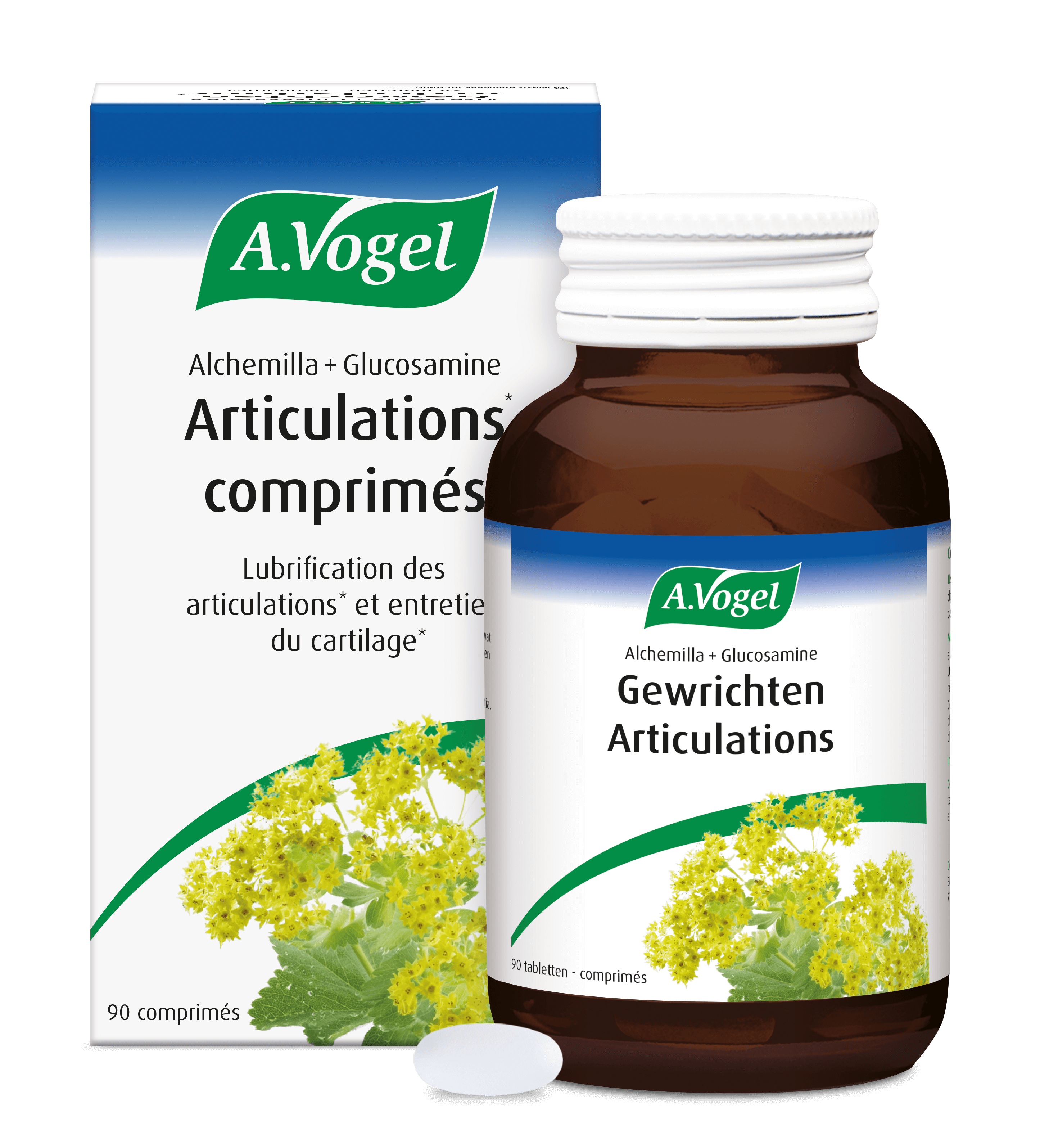 Alchemilla glucosamine articulations DSFLTAB