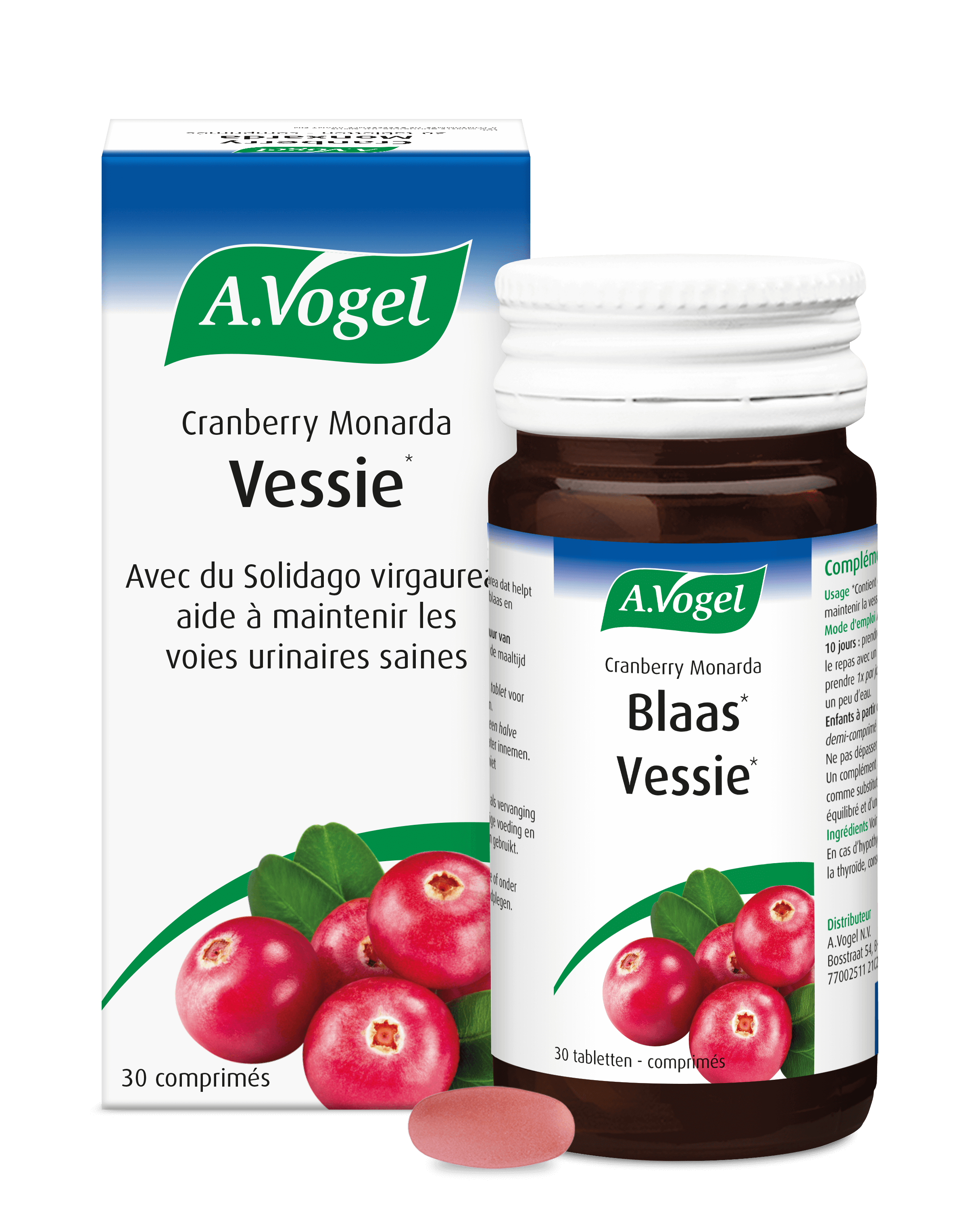 Cranberry monarda vessie DSFLTAB