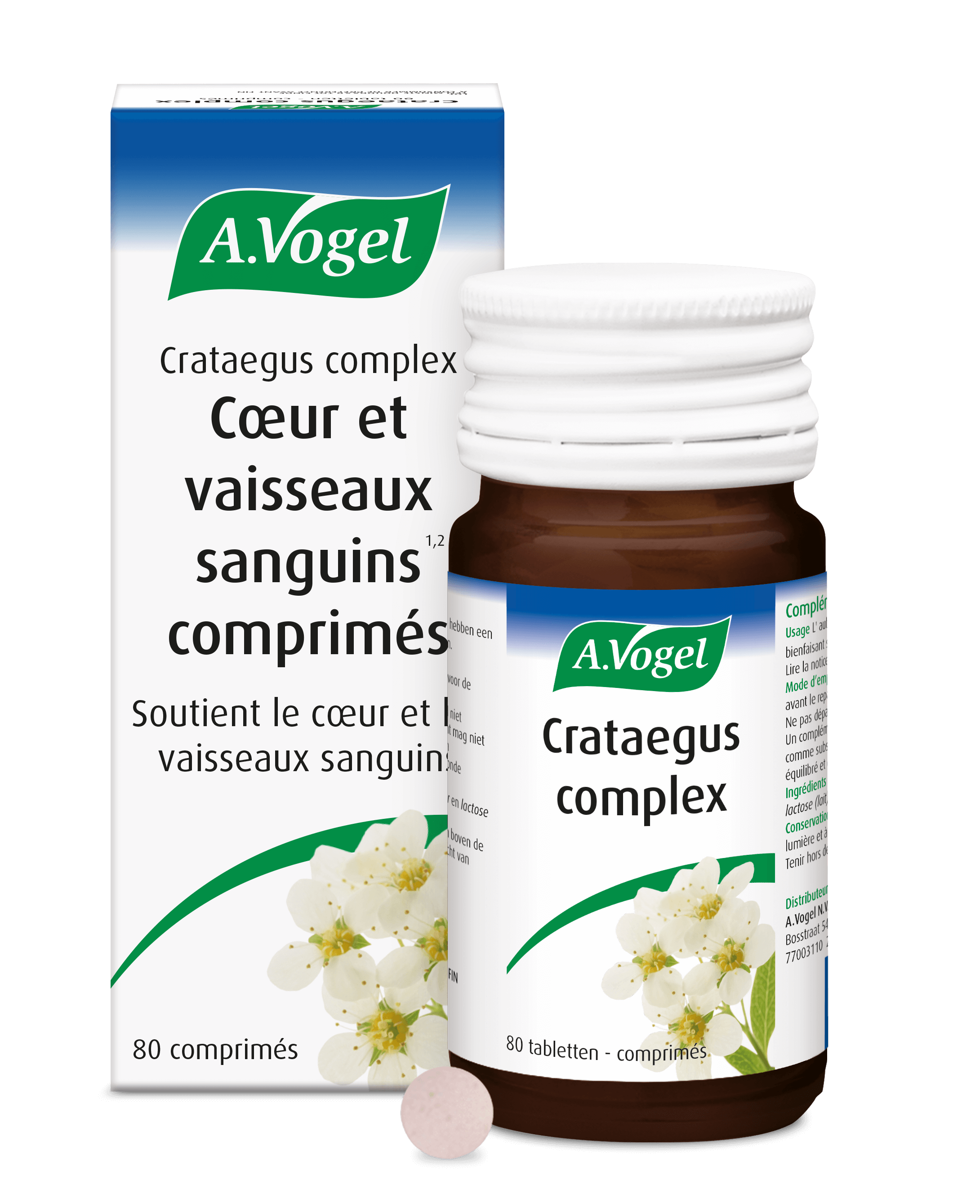 Crataegus complex comprimés coeur et vaisseaux sanguins DSFLTAB