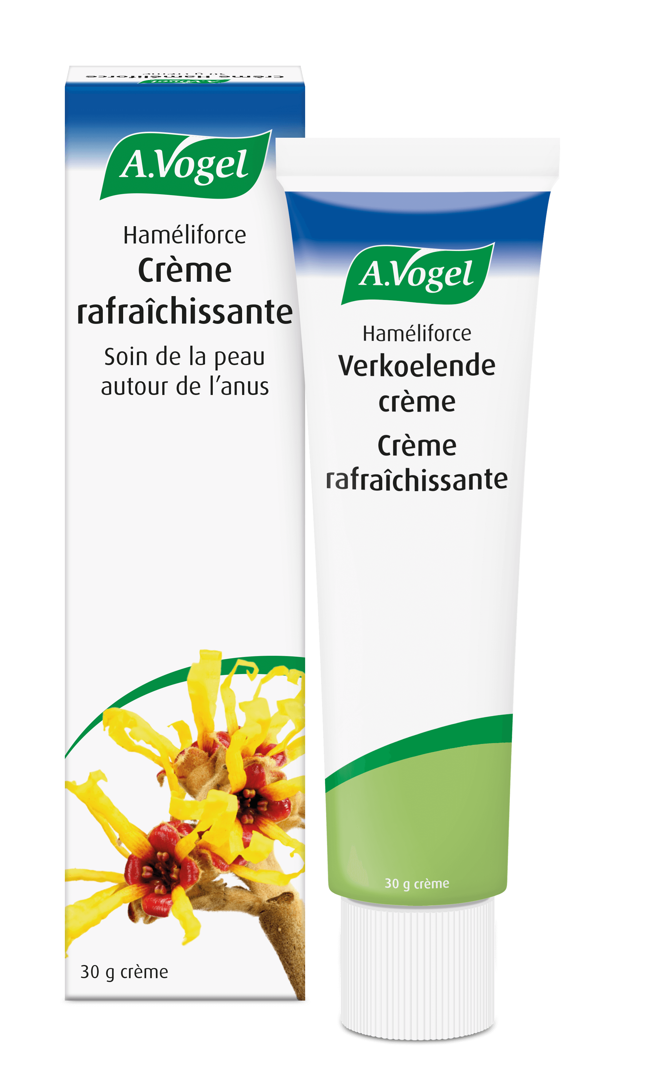 Crème Haméliforce crème rafraîchissante DSTU