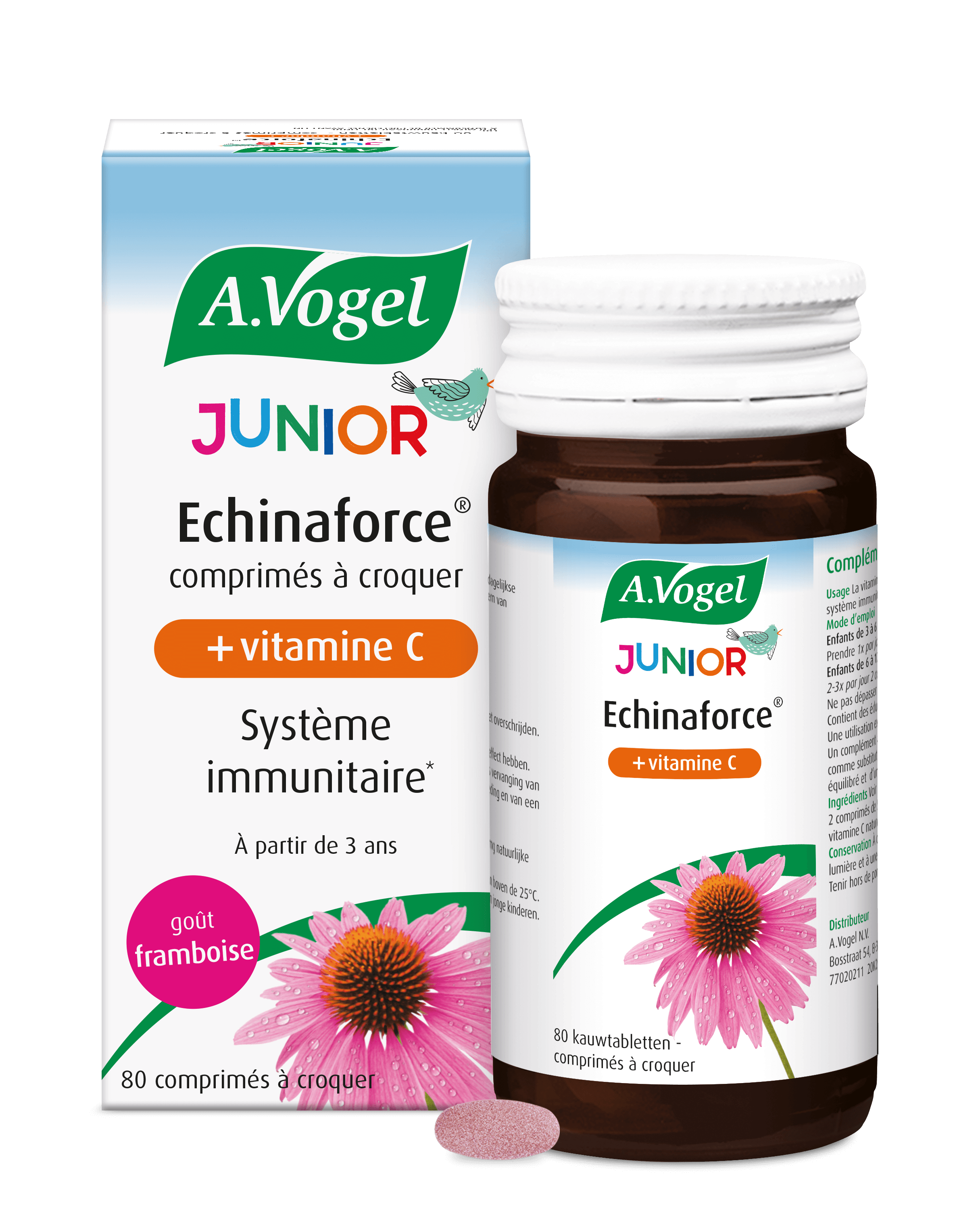 Echinaforce Junior + Vitamine C système immunitaire DSFLTAB